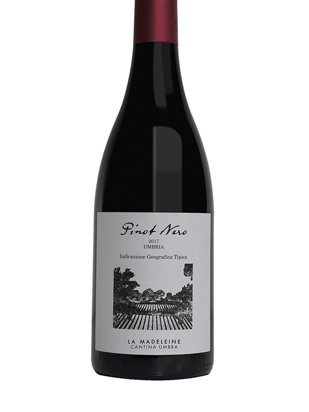 La Madeleine "Pinot Nero" Pinot Nero Rosso Umbria IGP 2021