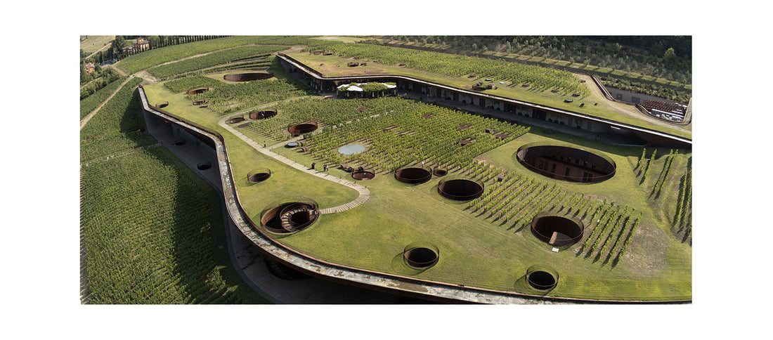 Storie di Cantine: “Marchesi Antinori”