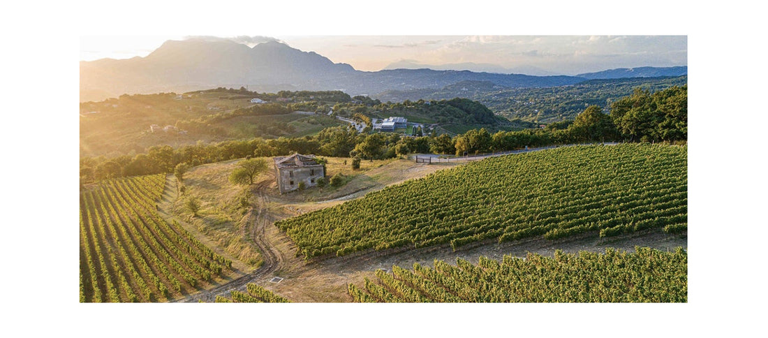 Storie di Cantine: “Feudi di San Gregorio”