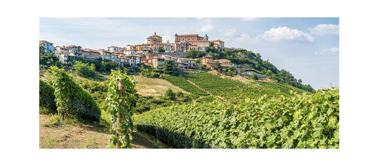 Storie di Cantine: ”Ratti”