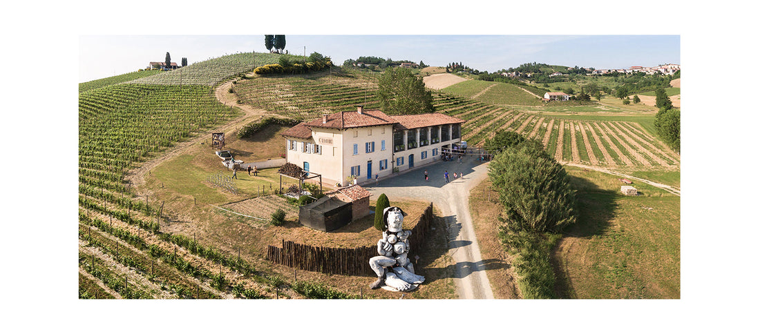 Storie di Cantine: “Michele Chiarlo”