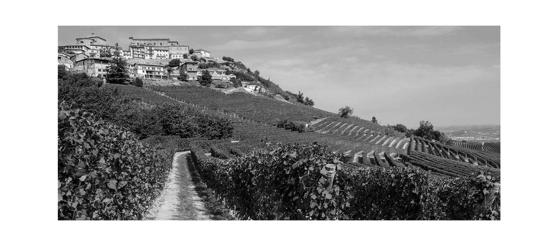 Storie di Cantine: "Roberto Voerzio"