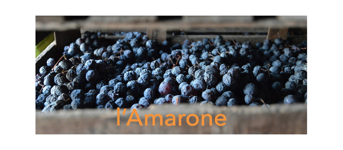 Che cos’è l’Amarone?