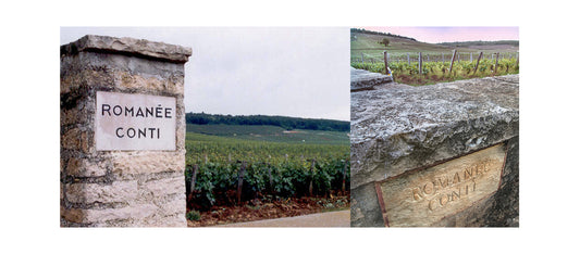 Storie di Cantine: "Domaine de la Romanée-Conti"