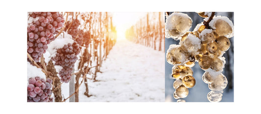 Che cosa sono gli Ice Wines?