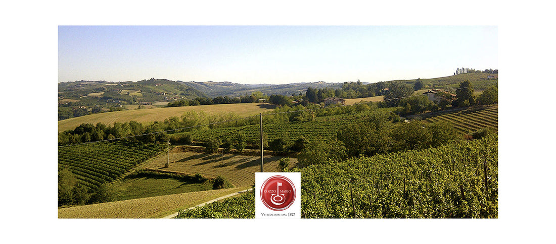 Storie di Cantine: Cozzo Mario