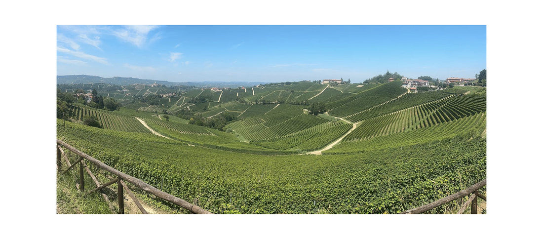 Storie di Cantine: Palladino