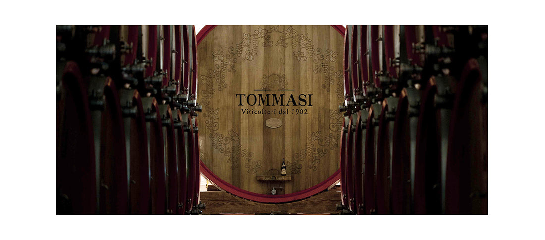 Storie di Cantine: “Tommasi”