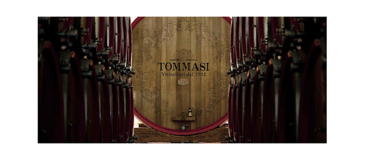 Storie di Cantine: “Tommasi”