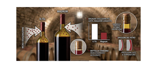 Perché la Magnum è la bottiglia "perfetta"?