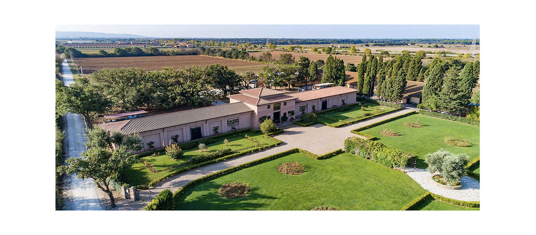 Storie di Cantine: “Tenuta San Guido e il Sassicaia”