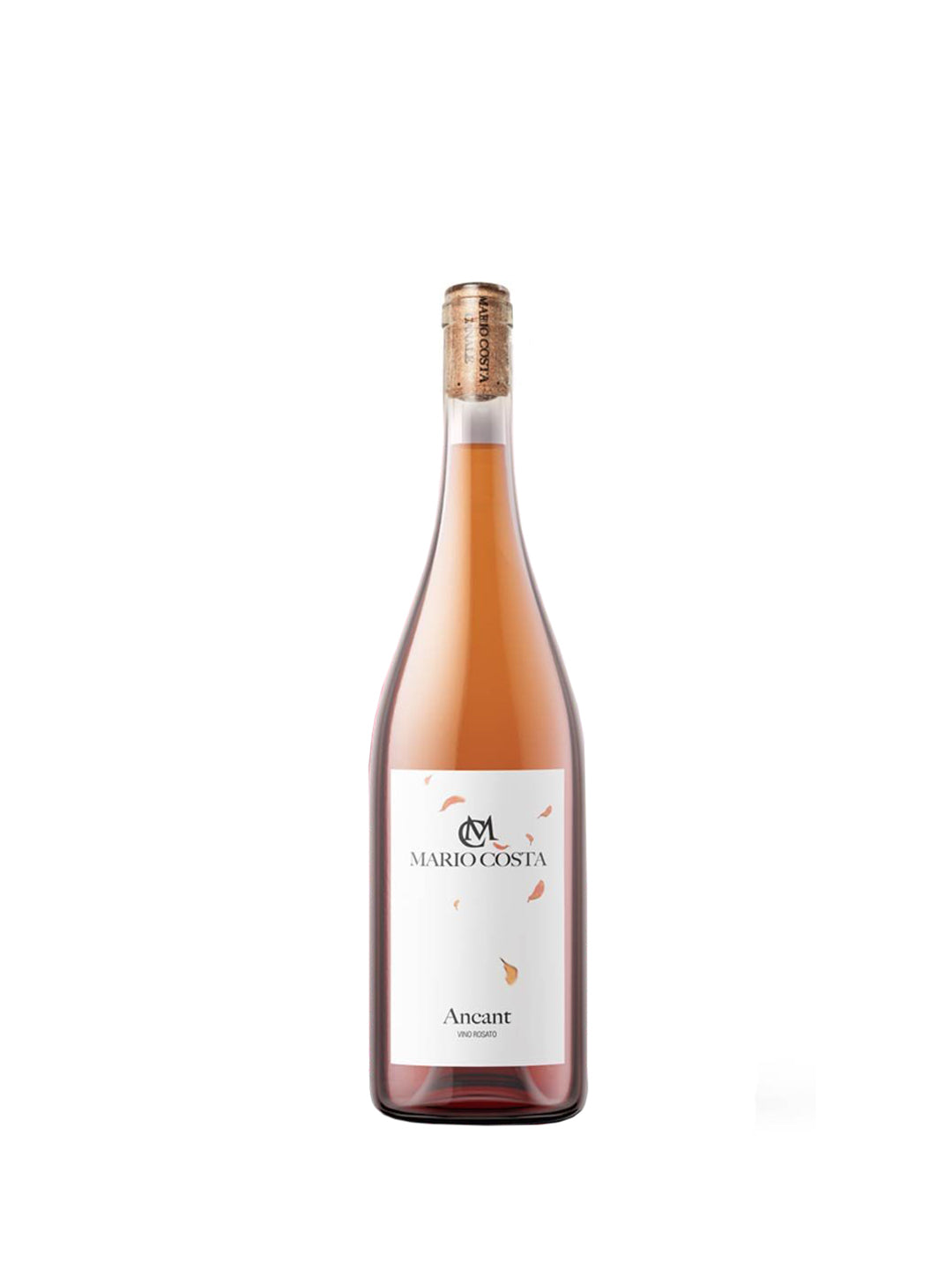 Mario Costa "Ancant" Langhe Rosato DOC 2025