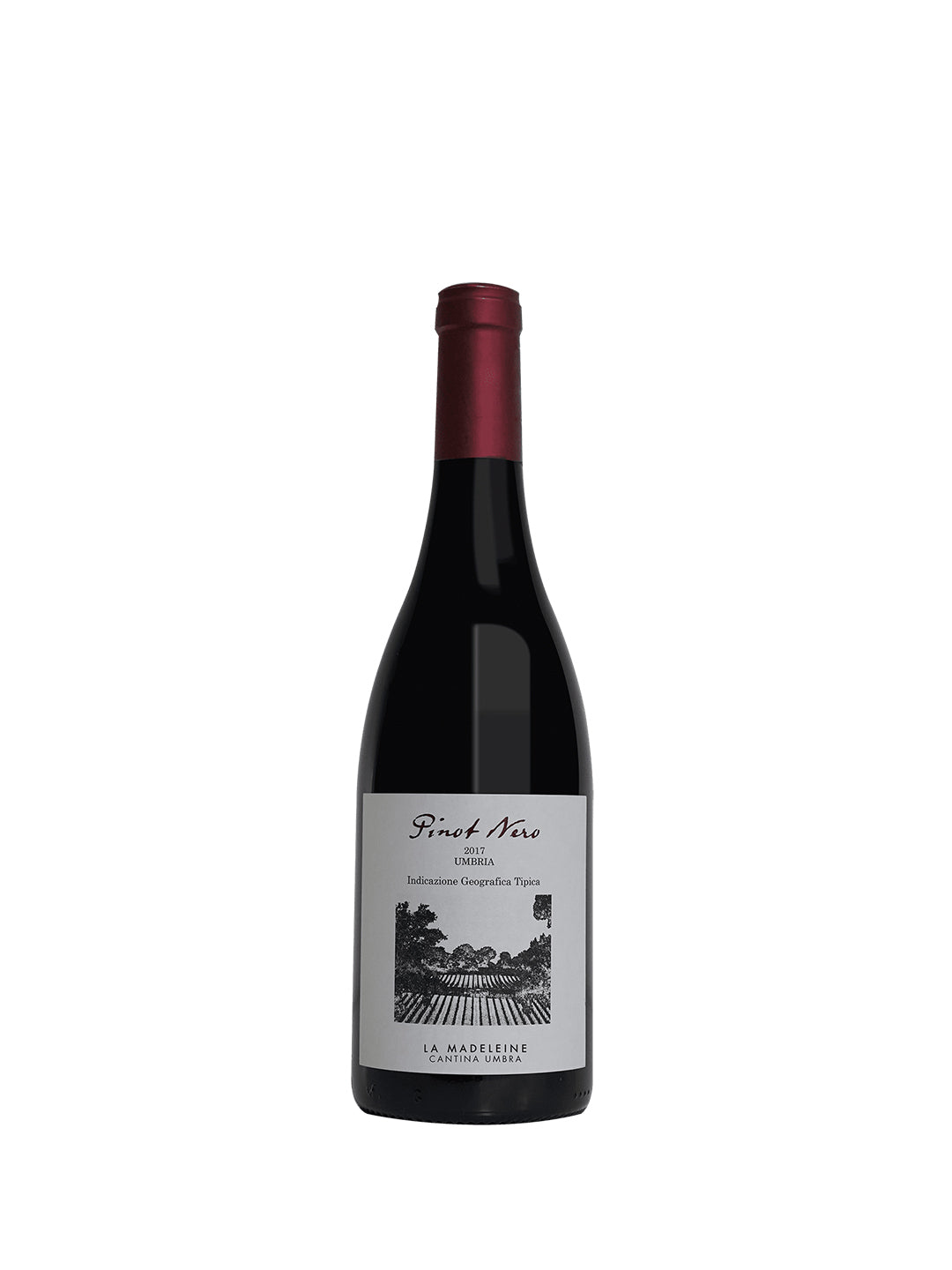 La Madeleine "Pinot Nero" Pinot Nero Rosso Umbria IGP 2021