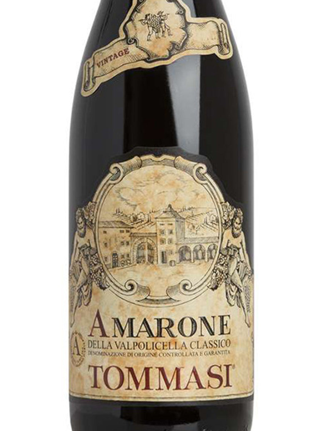 Tommasi "Amarone" Amarone Classico della Valpolicella DOCG