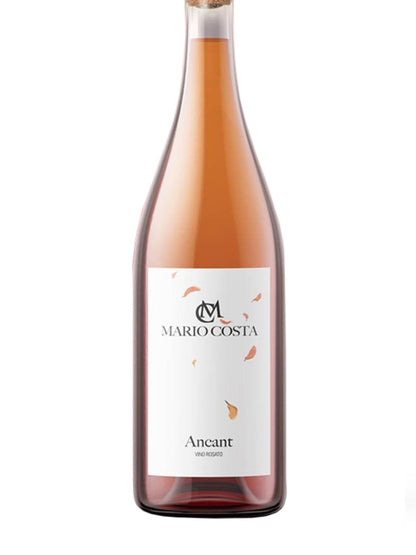 Mario Costa "Ancant" Langhe Rosato DOC 2025