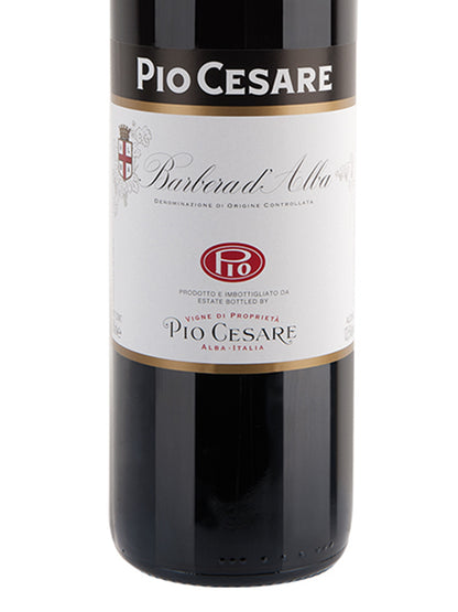 Pio Cesare "Barbera d'Alba" Barbera d'Alba DOC